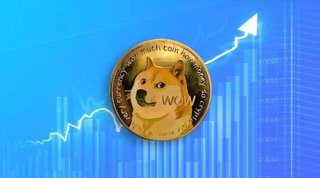 Dogecoin Small