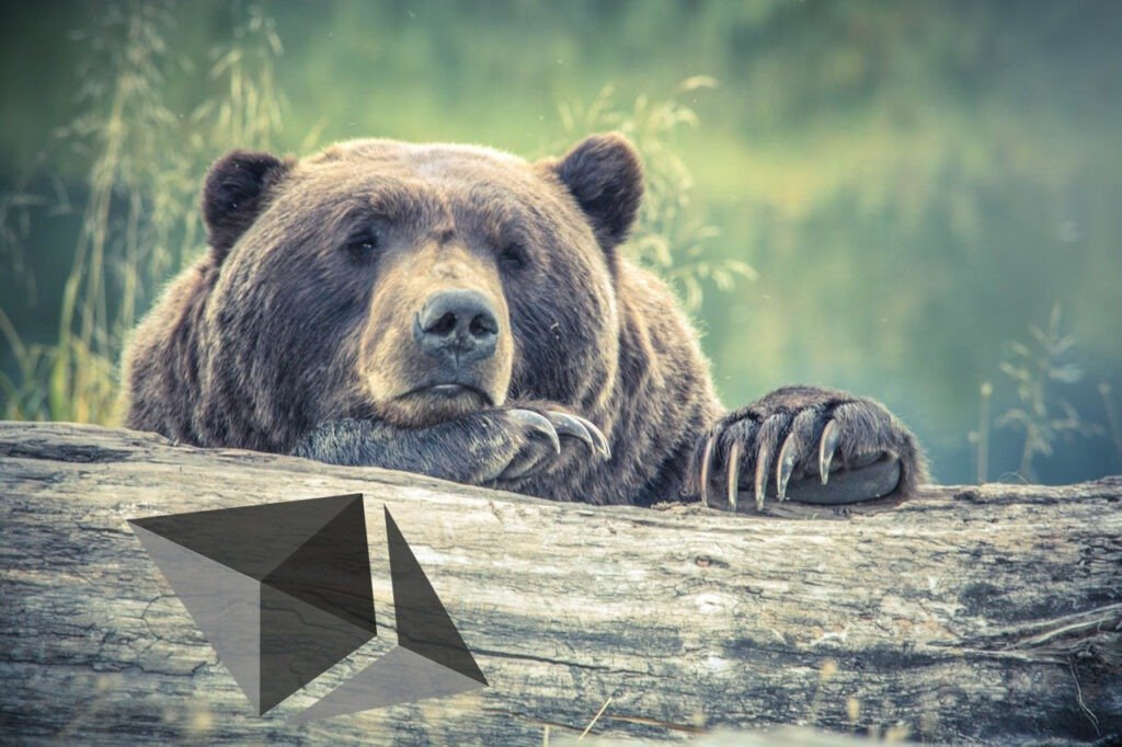 ethereum bear
