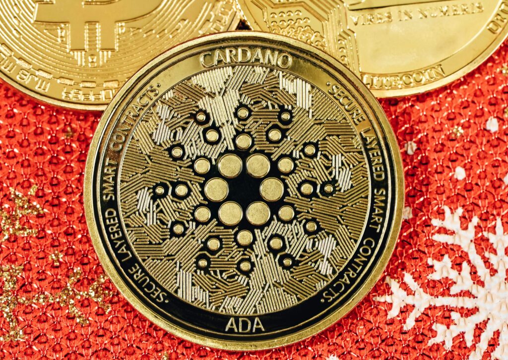 Cardano from Unsplash 2