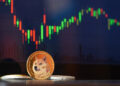 Dogecoin Whales Desert Market: Number Of $100,000 Transactions Nosedives 70%