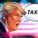 Federal taxes to be ‘substantially reduced’ once tariffs set in: Trump Federal taxes to be ‘substantially reduced’ once tariffs set in: Trump
