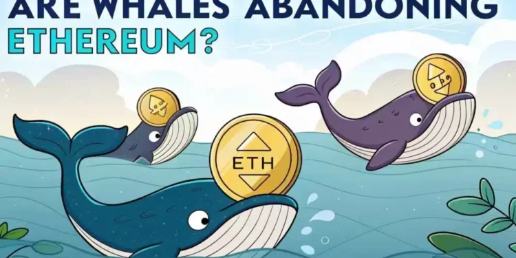 Ethereum whales pull back, but traders, watch out THIS ‘make-or-break’ level! Ethereum whales pull back, but traders, watch out THIS ‘make-or-break’ level!