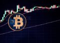 Bitcoin Diamond Hands Are Buying Again, Here’s Why It’s Bullish For The Market Bitcoin Diamond Hands Are Buying Again, Here’s Why It’s Bullish For The Market