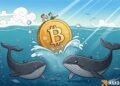 Bitcoin: Whales withdraw 110K BTC – A prelude to a new ATH? Bitcoin: Whales withdraw 110K BTC – A prelude to a new ATH?