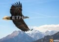 Ethereum: Why THIS analytics firm expects ETH to hit K in 2025 Ethereum: Why THIS analytics firm expects ETH to hit K in 2025