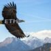 Ethereum: Why THIS analytics firm expects ETH to hit K in 2025 Ethereum: Why THIS analytics firm expects ETH to hit K in 2025