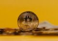 Ark Invest’s Cathie Wood Predict Bitcoin To Hit .5 Million Price By 2030 — Here’s Why Ark Invest’s Cathie Wood Predict Bitcoin To Hit .5 Million Price By 2030 — Here’s Why