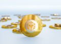 Can BNB Punch Through The Ceiling Or Will 640 Catch The Fall? Can BNB Punch Through The Ceiling Or Will 640 Catch The Fall?