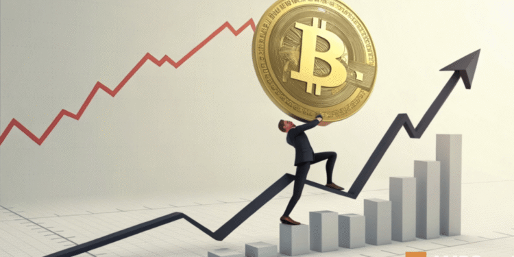What do Bitcoin’s mid-cycle metrics tell us about its next price rally?