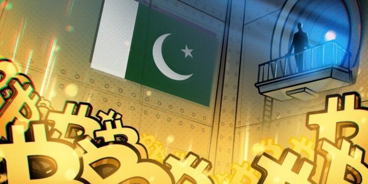 Pakistan’s Youth Leading Charge on Bitcoin Adoption Pakistan’s Youth Leading Charge on Bitcoin Adoption