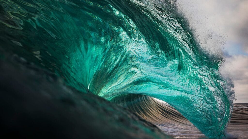 greenwave555gettyimages 1368265516
