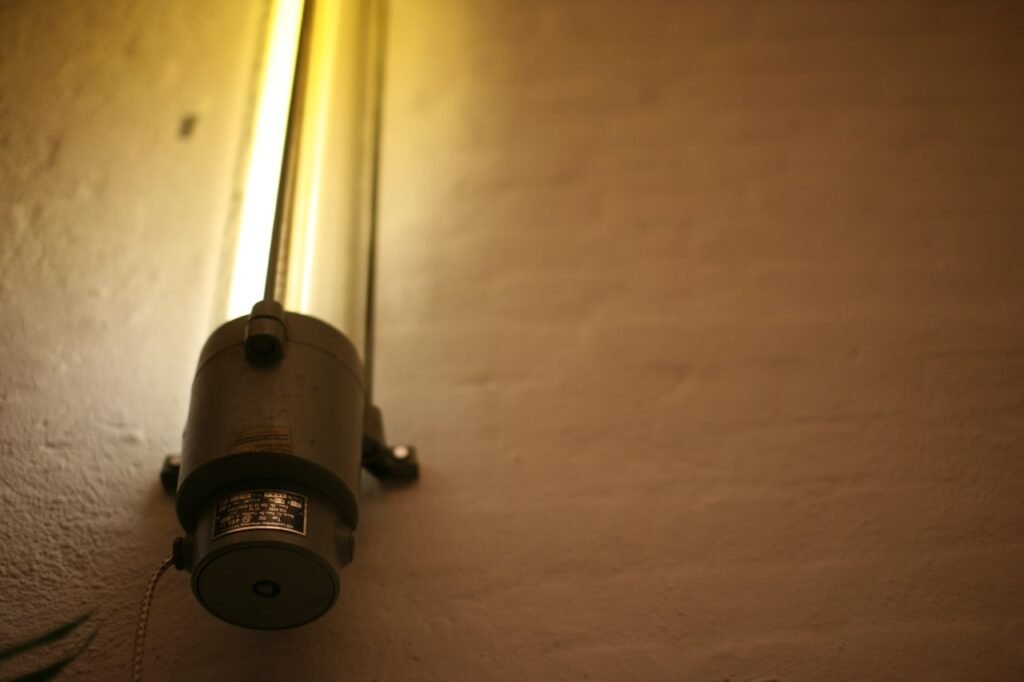1755550946 IMG 7465