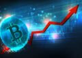 Bitcoin Season Or Altcoin Season? Shiba Inu Exec Outlines What’s Happening Bitcoin Season Or Altcoin Season? Shiba Inu Exec Outlines What’s Happening