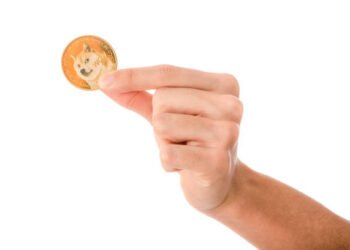 Dogecoin Price Crash Could End Soon With A Roadmap For 