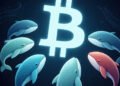 Bitcoin Rally Slowed by Old-School Whales, Analyst Warns Bitcoin Rally Slowed by Old-School Whales, Analyst Warns