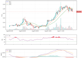 Polygon Approaches Make-Or-Break Point At alt=