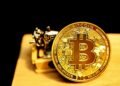 Bitcoin Treasury Race Heats Up As Dutch Firm Shoots For -M Launch