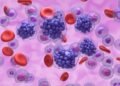Harvard’s new free AI tool could help treat Parkinson’s, Alzheimer’s, and even cancer Harvard’s new free AI tool could help treat Parkinson’s, Alzheimer’s, and even cancer