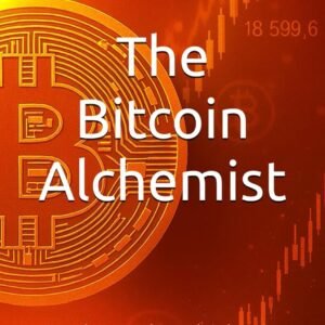 The Bitcoin Alchemist: From dot-com ashes to digital empire. The story of a pioneer transforming his company and creating a new industry.