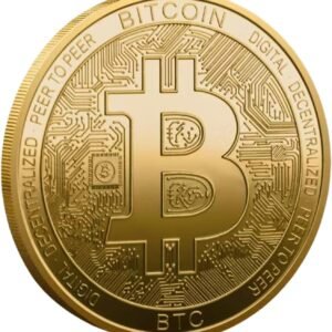 Bitcoin Coin Souvenir Gold Plated with Protective Case Physical Collectible for Decoration Commemoration Gifts Cryptocurrency Token BTC for Bitcoin Fans (1PCS)
