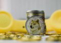 Dogecoin Price Macro Target Remains Above , And The Market Crash Hasn’t Changed It Dogecoin Price Macro Target Remains Above , And The Market Crash Hasn’t Changed It