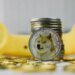 Dogecoin Price Macro Target Remains Above , And The Market Crash Hasn’t Changed It Dogecoin Price Macro Target Remains Above , And The Market Crash Hasn’t Changed It