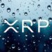 XRP Bounce In Sight? Bulls Hold .38 Support As Breakout Pressure Builds XRP Bounce In Sight? Bulls Hold .38 Support As Breakout Pressure Builds