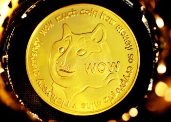 Dogecoin Sheds 25% As  Million Flees Market