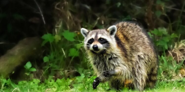 I tested Sora’s new ‘Character Cameo’ feature, and it was borderline disturbing I tested Sora’s new ‘Character Cameo’ feature, and it was borderline disturbing