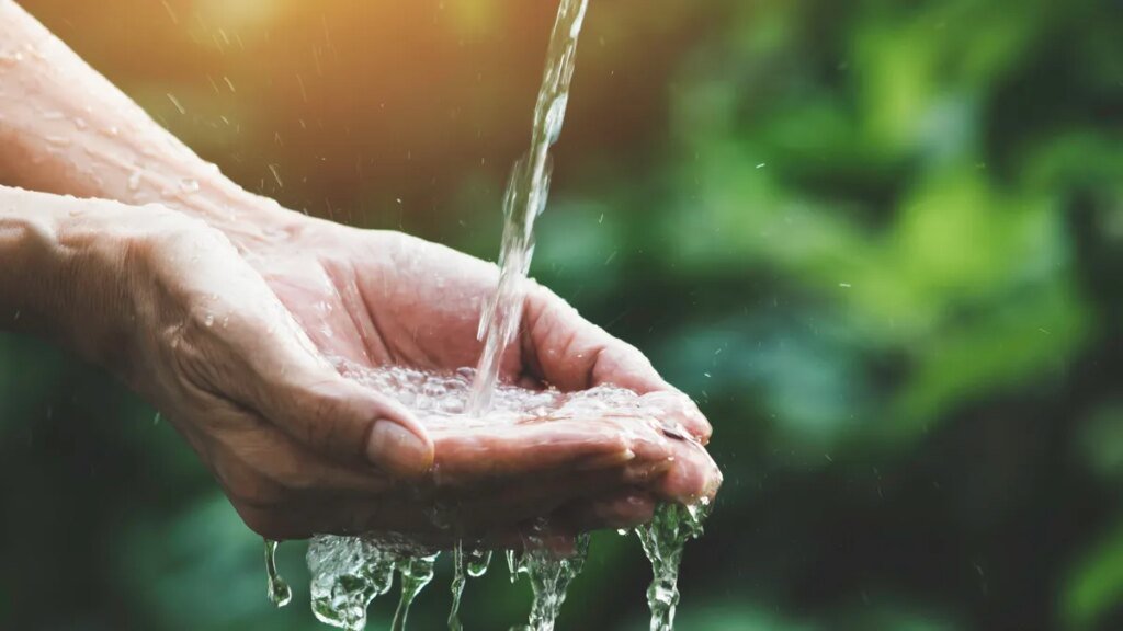 What’s in your water? These 3 questions help you find out – and decide what to do next What’s in your water? These 3 questions help you find out – and decide what to do next