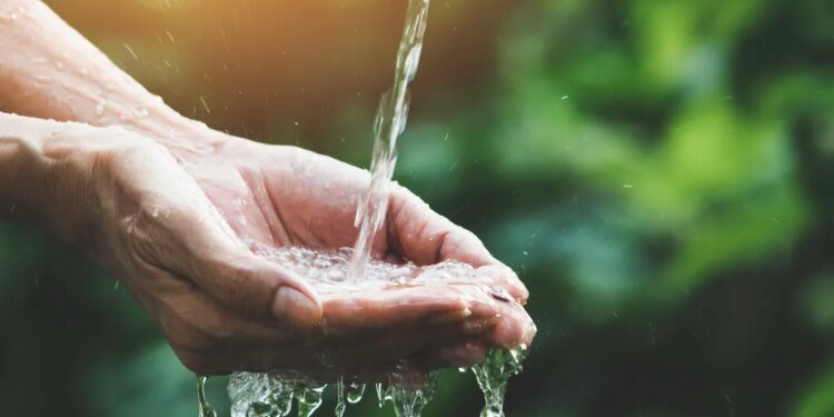 What’s in your water? These 3 questions help you find out – and decide what to do next What’s in your water? These 3 questions help you find out – and decide what to do next
