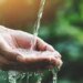 What’s in your water? These 3 questions help you find out – and decide what to do next What’s in your water? These 3 questions help you find out – and decide what to do next