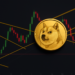 Dogecoin Bull Run Rests On This One Price Level, Analyst Warns