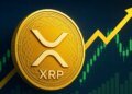 Expert Predicts The Most Realistic Timeframe For XRP Price To Reach 0