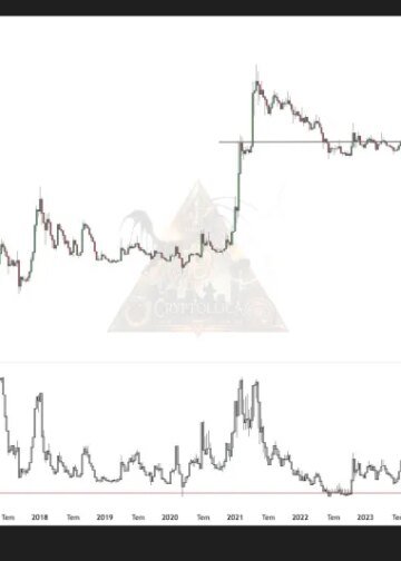 Dogecoin Is Now In The ‘Maximum Opportunity Zone: Analyst