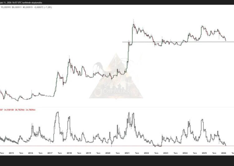 Dogecoin Is Now In The ‘Maximum Opportunity Zone: Analyst