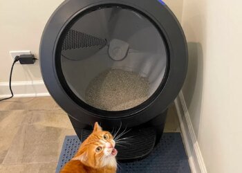 The best Presidents’ Day sales we’ve found so far