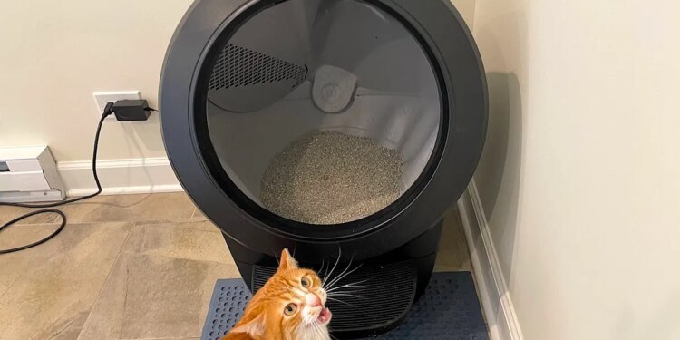 The best Presidents’ Day sales we’ve found so far