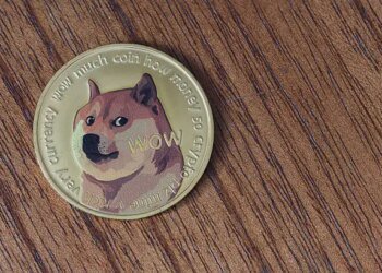 Here’s Why The Dogecoin Price Is Under Threat Of Crashing Again