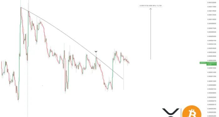 The Last Time XRP Made This Move Against Bitcoin, It Led To A 500% Increase To .3