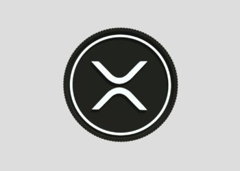 Pundit Says This Chart Paints The Clearest Macro Picture For XRP