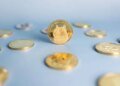 Dogecoin Adoption Is Back In The Cards, But Why Is DOGE Price Still Crashing?