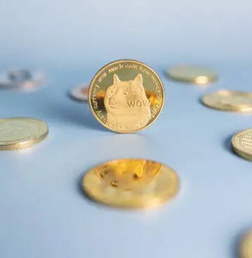 Dogecoin Adoption Is Back In The Cards, But Why Is DOGE Price Still Crashing?