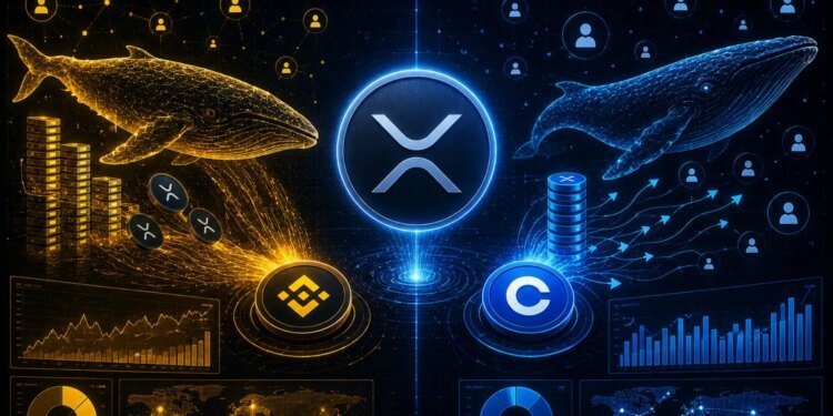 Ethereum Traders Increase Leverage Exposure: Liquidity Returns To Binance Futures Market