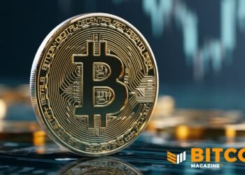 Bitcoin Exchange Flows Point To More Volatility: Report